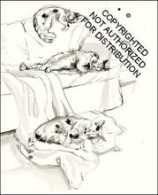 Load image into Gallery viewer, Raincoast Distribution Group - For the Love of Cats: 20 Individual Notecards and Envelopes