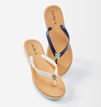 Load image into Gallery viewer, Turtle Flip Flop