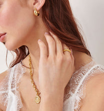 Load image into Gallery viewer, Chunky Hoop Earrings