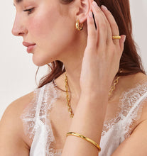 Load image into Gallery viewer, Chunky Hoop Earrings
