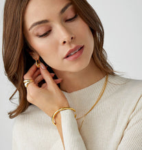 Load image into Gallery viewer, Celestial Hoop Earrings