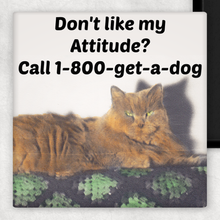 Load image into Gallery viewer, Raven's Rest Studio - MAGNET. Don't Like My Attitude? Call 1-800-get-a-dog.