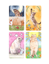 Load image into Gallery viewer, Raincoast Distribution Group - Cat’s Meow Sticker Book