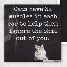 Load image into Gallery viewer, Raven's Rest Studio - MAGNET. Cats Have 32 Muscles In Each Ear To Help Them Ignore