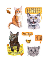 Load image into Gallery viewer, Raincoast Distribution Group - Cat’s Meow Sticker Book