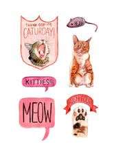 Load image into Gallery viewer, Raincoast Distribution Group - Cat’s Meow Sticker Book