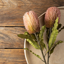 Load image into Gallery viewer, Banksia Floral Stem Pink
