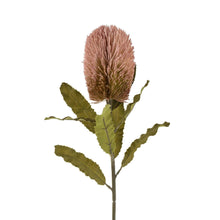 Load image into Gallery viewer, Banksia Floral Stem Pink
