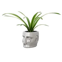 Load image into Gallery viewer, Face Shape Chrome Planter
