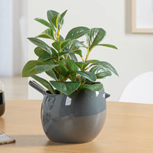 Load image into Gallery viewer, Finch Bird Planter - Grey
