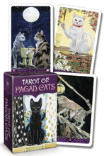 Load image into Gallery viewer, Raincoast Distribution Group - Tarot of Pagan Cats Mini Deck
