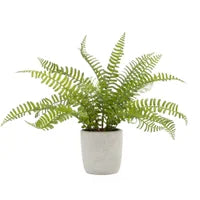 Load image into Gallery viewer, Solaro Faux Plant - Boston Fern
