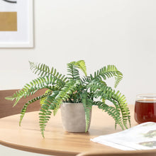 Load image into Gallery viewer, Solaro Faux Plant - Boston Fern
