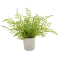 Load image into Gallery viewer, Solaro Faux Plant - Alpine Fern
