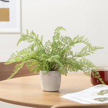 Load image into Gallery viewer, Solaro Faux Plant - Alpine Fern
