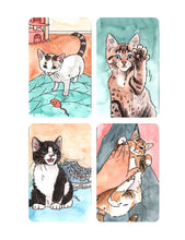 Load image into Gallery viewer, Raincoast Distribution Group - Cat’s Meow Sticker Book
