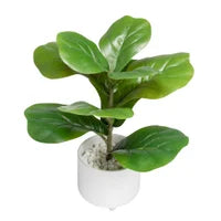 Load image into Gallery viewer, Riviera Ceramic Fiddle Leaf Fig Plant
