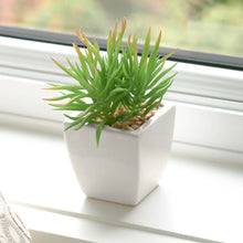 Load image into Gallery viewer, Mini Faux Succulent - Spike
