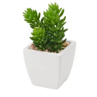 Load image into Gallery viewer, Mini Faux Succulent - Jellybean
