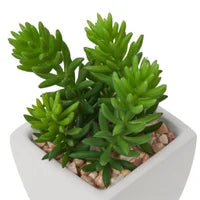 Load image into Gallery viewer, Mini Faux Succulent - Jellybean
