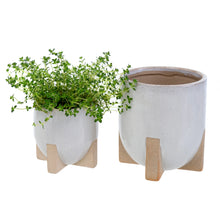 Load image into Gallery viewer, Mod Pot - Large

