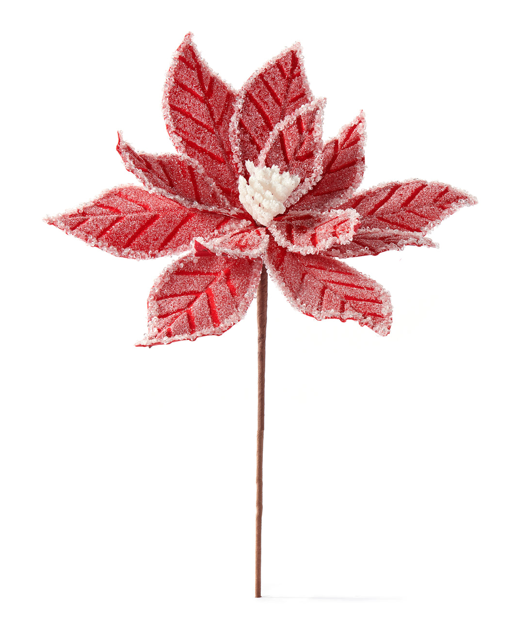 Poinsettia Flower Spray