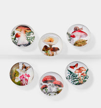 Load image into Gallery viewer, Forest Mushroom Magnet
