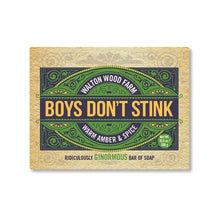 Load image into Gallery viewer, Boys Don't Stink Soap Bar Warm Amber &amp; Spice
