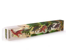 Load image into Gallery viewer, Dinos In Tube 6/Pc.

