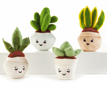 Load image into Gallery viewer, Mini Plush Potted Succulents
