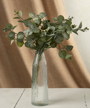Load image into Gallery viewer, Eucalyptus Spray
