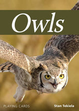 Load image into Gallery viewer, Raincoast Distribution Group - Owls Playing Cards
