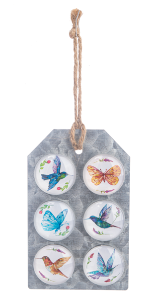 Watercolor Hummingbird & Butterfly Magnet Set