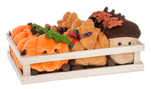 Load image into Gallery viewer, Fall Friends Stuffed Ornaments
