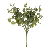 Load image into Gallery viewer, Eucalyptus Spray

