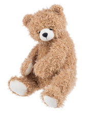 Load image into Gallery viewer, Sleep Shelby Bear
