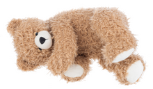 Load image into Gallery viewer, Sleep Shelby Bear
