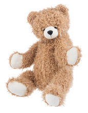 Load image into Gallery viewer, Sleep Shelby Bear
