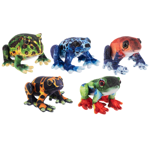 Tropical Frogs