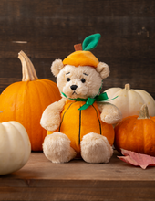 Load image into Gallery viewer, Pumpkin Wee Bear

