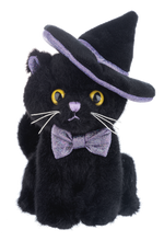 Load image into Gallery viewer, Whisper Kitty

