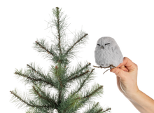 Load image into Gallery viewer, Winter Owl Ornaments
