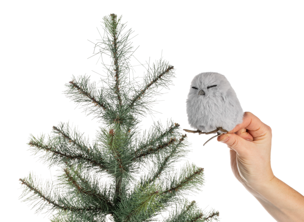 Winter Owl Ornaments