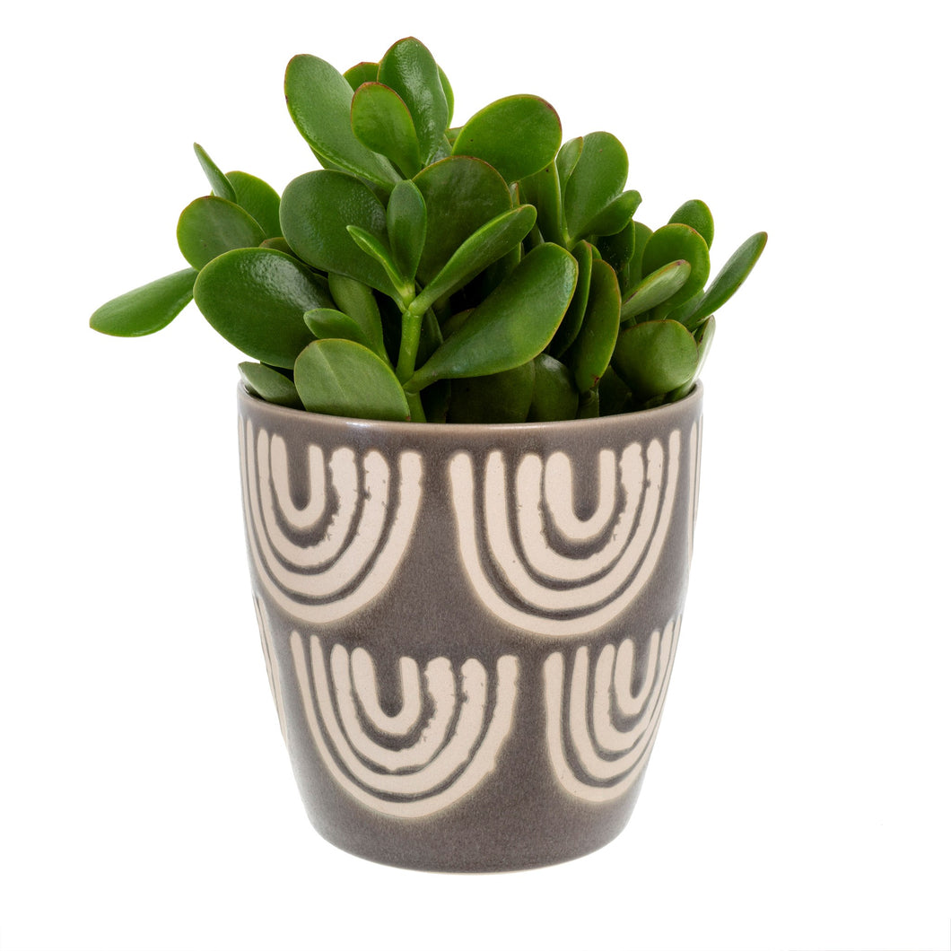 Arches Planter