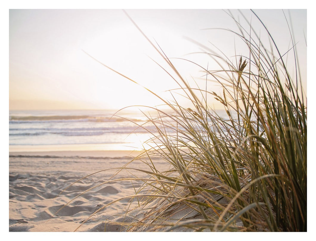 Seagrass Canvas