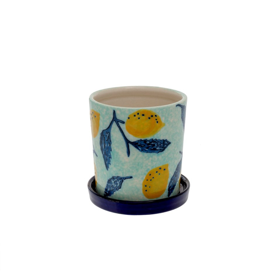 Lemon Breeze Planter