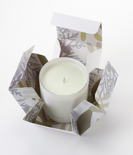 Load image into Gallery viewer, Voy Fragrance Candle - Red Juniper &amp; Cypress

