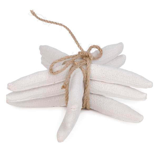 White Starfish