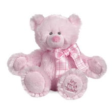 Load image into Gallery viewer, My First Teddy - Pink
